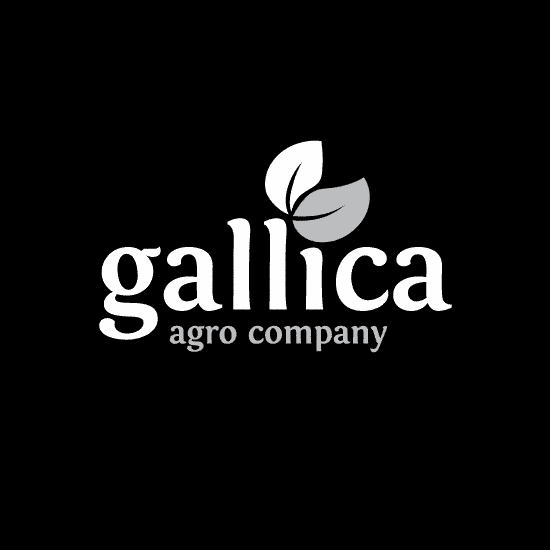 Logos & CI: Gallica