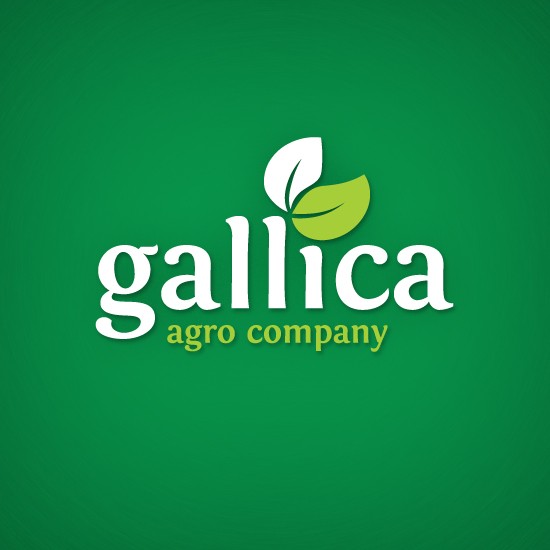Logos & CI: Gallica