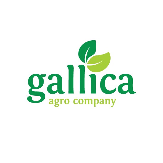 Logos & CI: Gallica